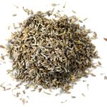 English Lavender H00223 010  55760