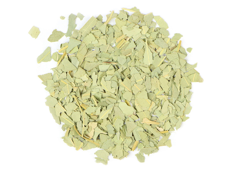 Eucalyptus Leaf OG 2019 04 16  89572