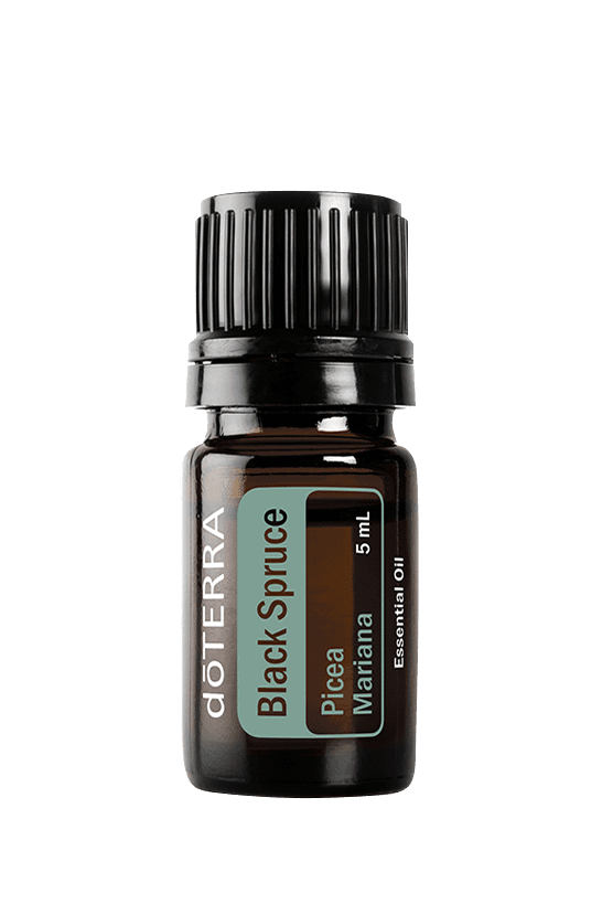 Black Sprouce 5 ml
